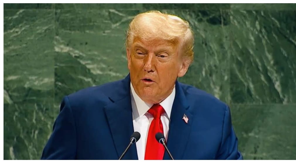 संयुक्त राष्ट्र सुरक्षा परिषद ने गाजा के भविष्य के लिए ट्रंप की नई योजना को मंज़ूरी दी